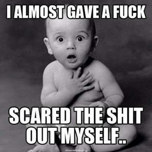 Meet your Posher, Staci - Picture 1 of 1